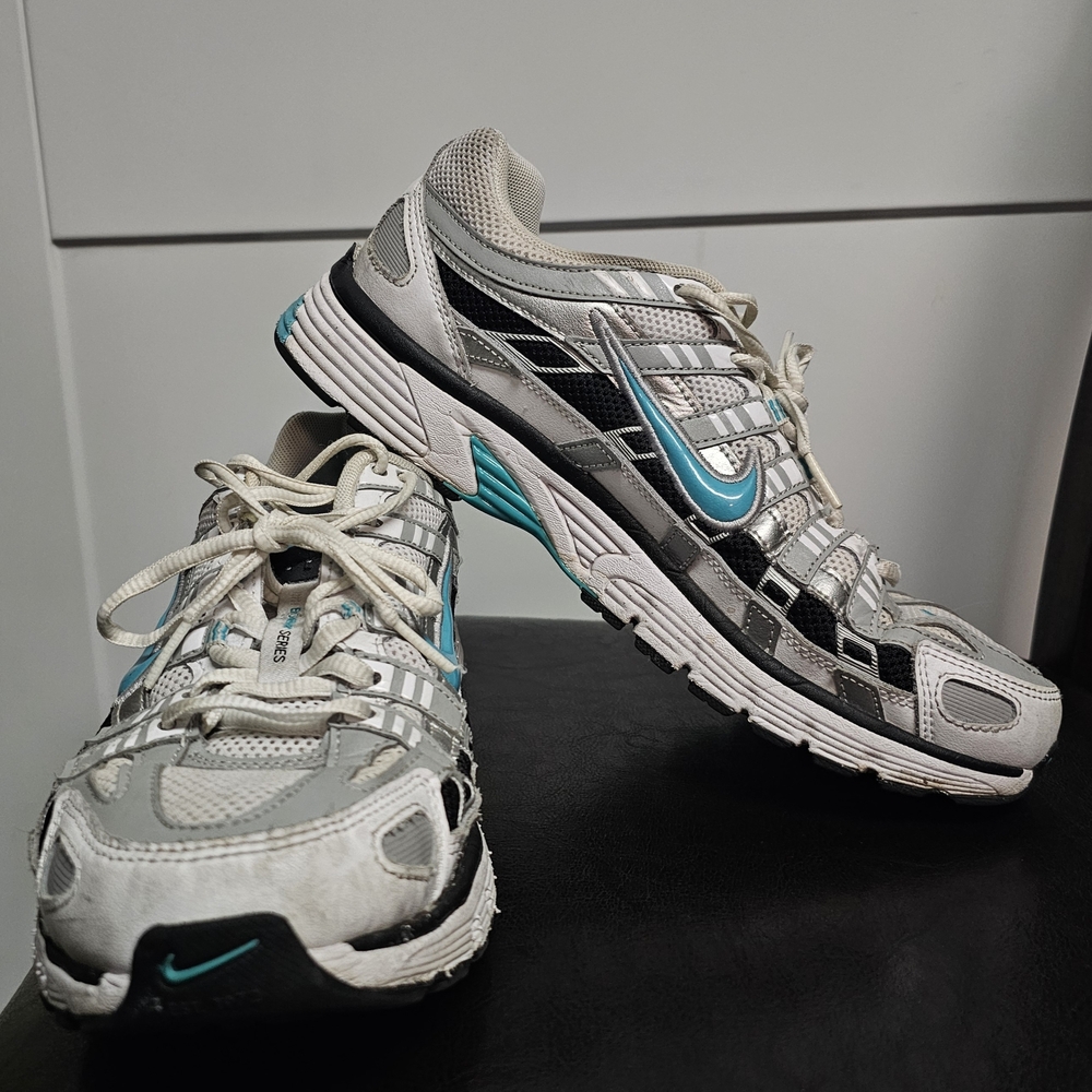 Nike P-6000 Dusty Cactus